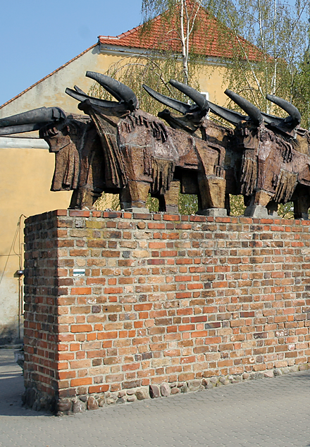 Wołowskie Woły